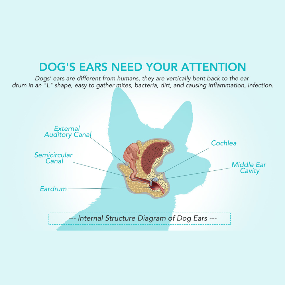 پودر پاک‌کننده و ضدعفونی‌کننده گوش سگ و گربه ELAIMEI